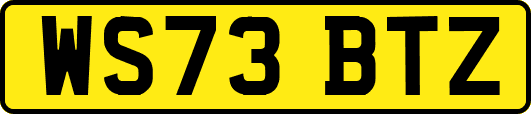 WS73BTZ