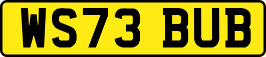 WS73BUB