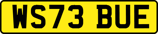 WS73BUE