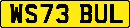 WS73BUL