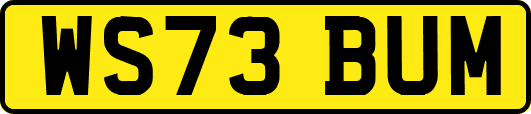 WS73BUM