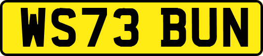 WS73BUN
