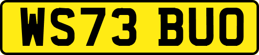 WS73BUO