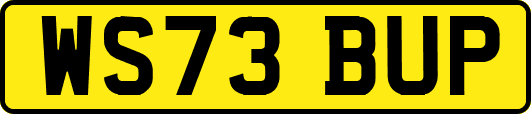 WS73BUP