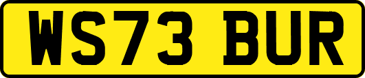 WS73BUR