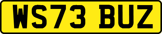 WS73BUZ