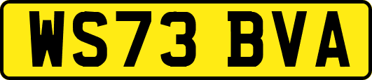 WS73BVA