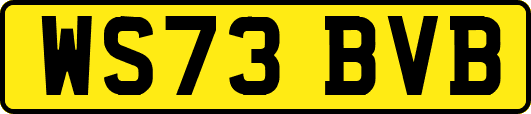 WS73BVB