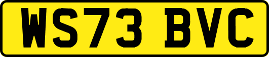 WS73BVC