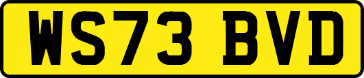 WS73BVD