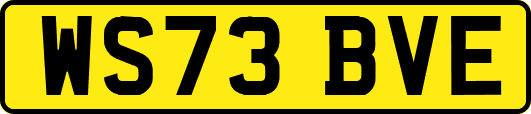 WS73BVE