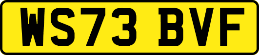 WS73BVF