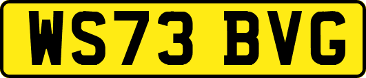 WS73BVG