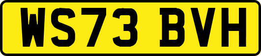 WS73BVH