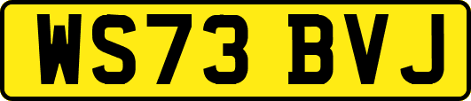 WS73BVJ