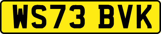 WS73BVK