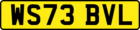 WS73BVL