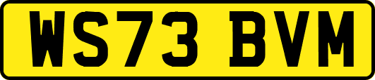WS73BVM