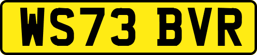 WS73BVR
