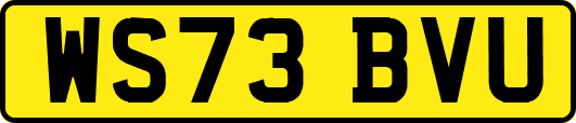 WS73BVU