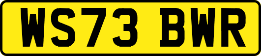 WS73BWR