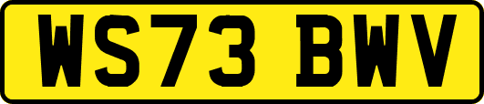 WS73BWV