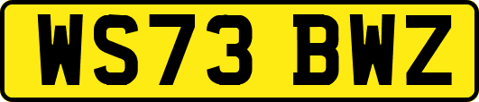 WS73BWZ