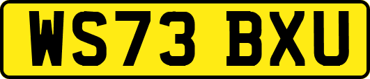 WS73BXU