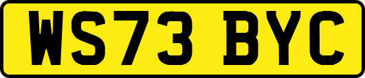 WS73BYC