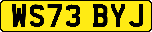 WS73BYJ