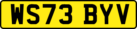 WS73BYV