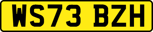 WS73BZH