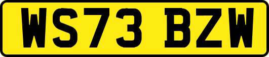 WS73BZW