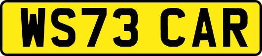 WS73CAR