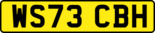 WS73CBH
