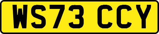 WS73CCY