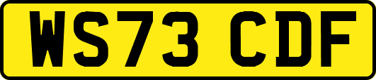 WS73CDF