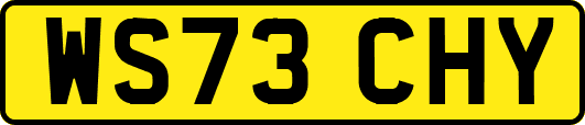 WS73CHY