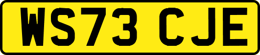WS73CJE