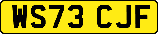 WS73CJF