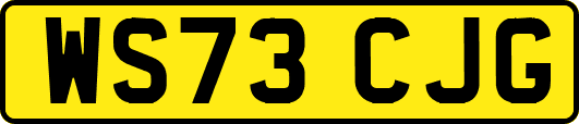 WS73CJG