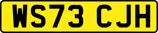 WS73CJH