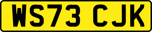 WS73CJK