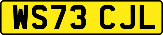 WS73CJL