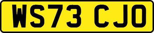 WS73CJO