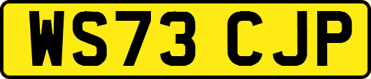 WS73CJP