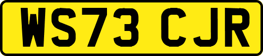WS73CJR