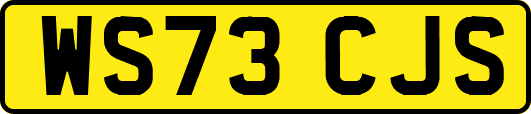 WS73CJS