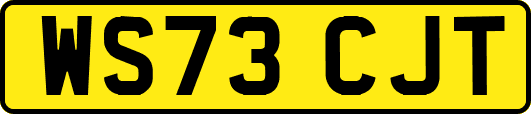 WS73CJT