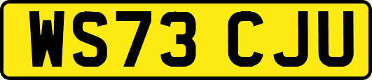 WS73CJU